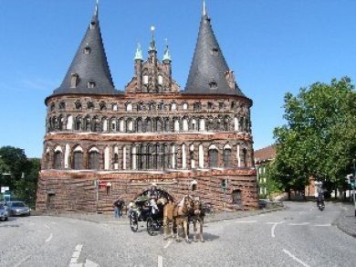 Haflinger besuchen Altstadt von Lübeck